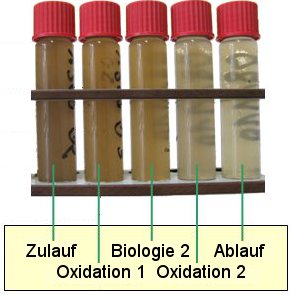 Biologisch-oxidativer Schadstoffabbau